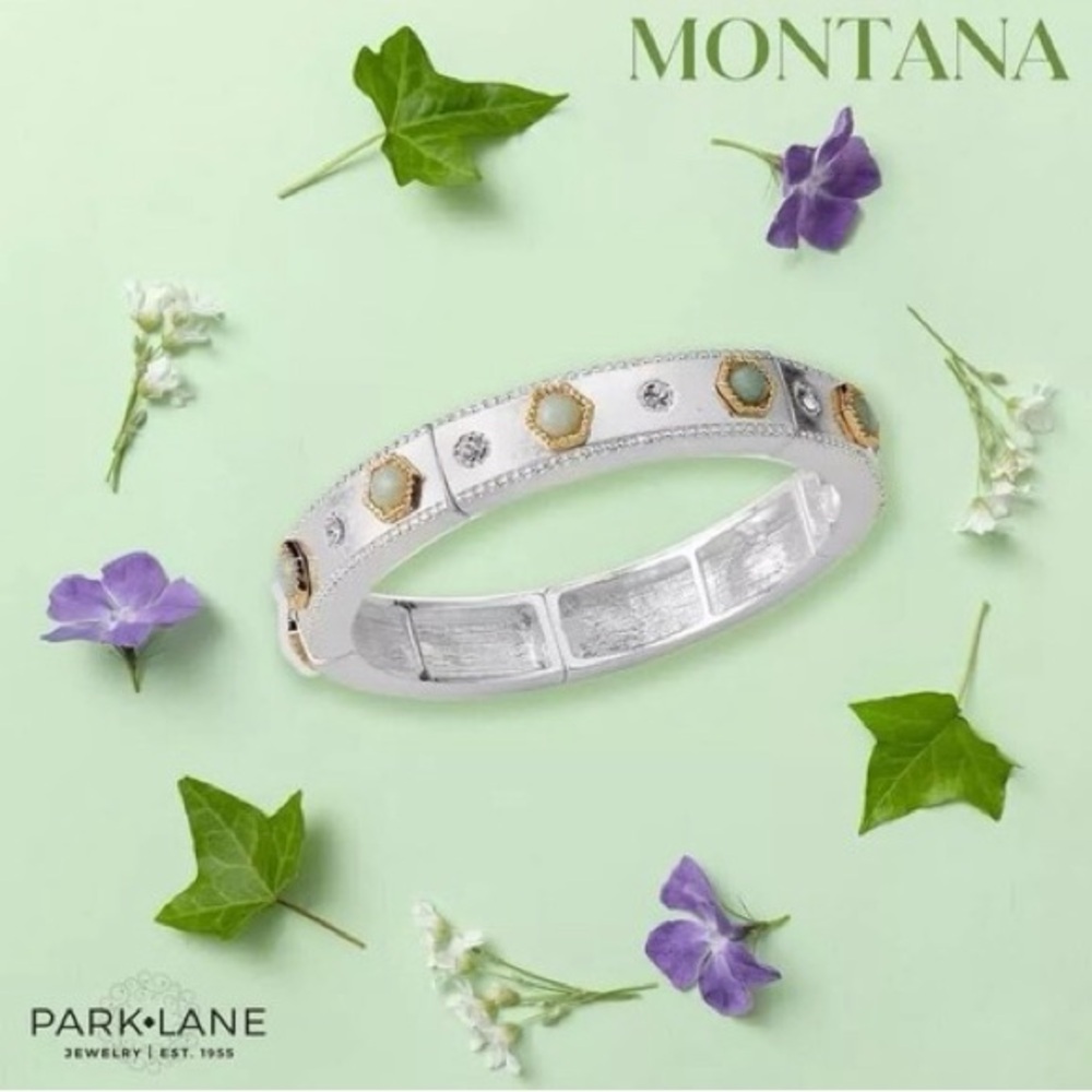 Park Lane Montana Silver Bangle